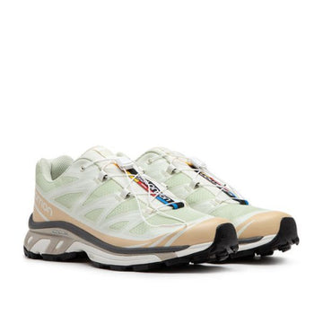 Salomon XT-6 (Aloe Wash/Hazelnut/Feather Gray) (L47293700) 75946152 [P]