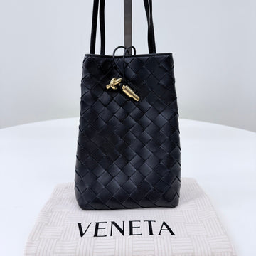 Bottega Veneta Intrecciato Andiamo Phone Pouch Crossbody Bag 159127370 [P]