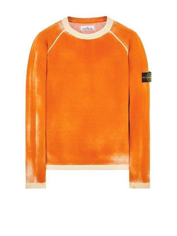 STONE ISLAND Airbrush Effekt Baumwolle Crewneck Pullover 133075219 [P]