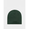 Carhartt Helix Beanie I035627 3EBXX 159287298 [P]