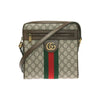Gucci Ophidia Small Messenger Bag Beige 158752092 [P]