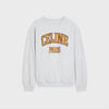 Celine Loose Sweatshirt - Cotton Fleece 159308019 [P]