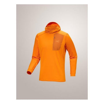 ARC TERYX LT Hoodie Herren 154426997 [P]
