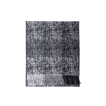 Loewe Common Scarf 159472143 [P]