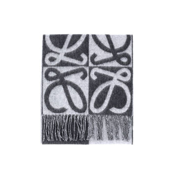 Loewe Women's Scarf 159472146 [P]