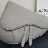DIOR Mini Saddle Bag 1ADPO19 160159801 [P]