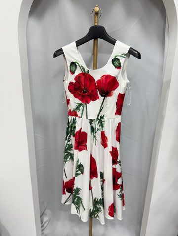 Dolce & Gabbana Department Store Edition Dress Size 38 160329056 [P]