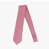 Salvatore Ferragamo Silk Tie with Trico Print 157314625 [P]