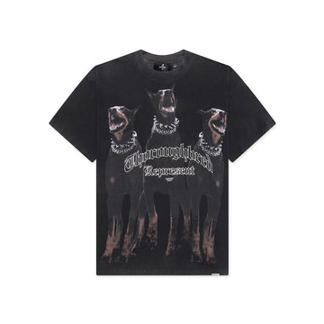REPRESENT Printed T-Shirt in Vintage Black 26SS 160469323 [P]