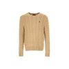 Polo Ralph Lauren Cable Knit in Brown 160545016 [P]