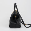 FENDI Chameleon Large Tote Shoulder Bag 158667249 [P]