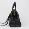 FENDI Chameleon Large Tote Shoulder Bag 158667249 [P]