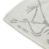 Arcteryx Bird Head Torque Sea Salt Habitat 157972519 [P]