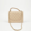 CHANEL Top Handle Chain Tote Shoulder Bag A98625 160559405 [P]