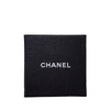 CHANEL Padlock Resin Earrings 160803757 [P]