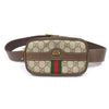 Gucci Ophidia Canvas iPhone Case Belt Bag 519308 160805554 [P]