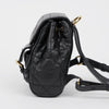 Dior Lambskin Karo Nano Backpack Black 160670792 [P]