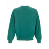 Carhartt Hudson Sweatshirt I035186 2ZU5F 159287125 [P]