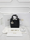 DIOR Tote Bag Vertikal Klein M2835OSNW 160928602 [P]