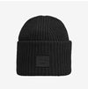 Acne Studios Face Logo Patch Beanie 153245594 [P]