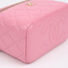 CHANEL Vanity Cosmetic Case Top Handle Tote Shoulder Bag AP2199 161232391 [P]