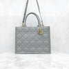 DIOR Leder Book Tote Tasche Mittel Stein Grau M1324OWHP 9035 16750060 [P]
