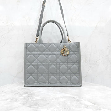 DIOR Leder Book Tote Tasche Mittel Stein Grau M1324OWHP 9035 16750060 [P]