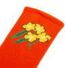 Mini Rodini Kids Socks Set (6 Pieces) 2576011700 147309189 [P]