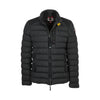 PARAJUMPERS Wilfred Herren Daunenjacke 25WPMPURL01 0541 147344170 [P]
