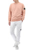 STONE ISLAND 26SS Wappen Patch Baumwoll Sweatshirt 6100060 S0051 V008E 155706484 [P]