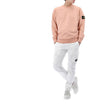 STONE ISLAND 26SS Wappen Patch Baumwoll Sweatshirt 6100060 S0051 V008E 155706484 [P]