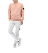 STONE ISLAND 26SS Wappen Patch Baumwoll Sweatshirt 6100060 S0051 V008E 155706484 [P]