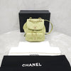 CHANEL Grünes Duma Einsteck-Rucksack 163156917 [P]