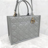 DIOR Leder Book Tote Tasche Mittel Stein Grau M1324OWHP 9035 16750060 [P]