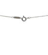 TIFFANY & CO Atlas Circle Silber Halskette 37815 146726055 [P]