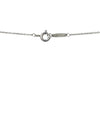 TIFFANY & CO Atlas Circle Silber Halskette 37815 146726055 [P]