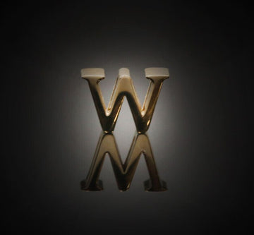 Dior MY ABC Letter W Badge 7255477845 77076726