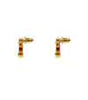 CHANEL Gold Earrings 52068 154701288 [P]