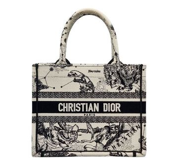 DIOR Tote Bag 26 157001207