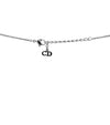 DIOR Blauer Trotter Silberhalskette 57436 157227396 [P]