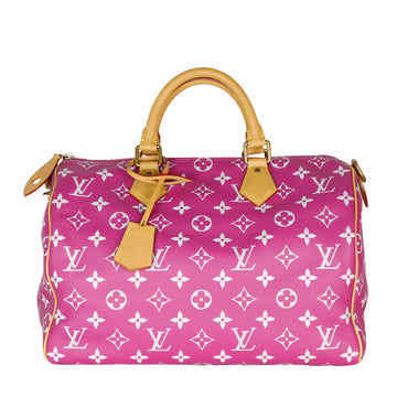 Louis Vuitton Monogram Speedy Bandoulière Tote Bag M11563 14604 157748410