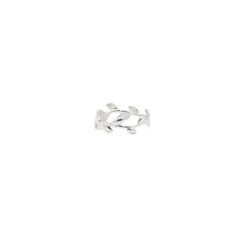 Tiffany & Co Paloma Picasso Olive Leaf Band Silver Narrow Women's Ring 11 aa65865 158617007 [P]