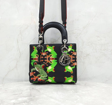 Dior Small Limited Art Frogman Bag 155005489 [P]