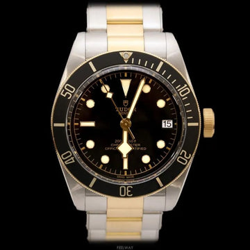 Tudor Heritage Black Bay Combi Black Dial Automatic 41MM 79733 115365968 [P]