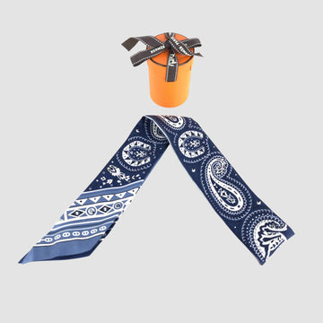 Hermes Silk Scarf Twilly 15300 160323386 [P]