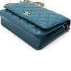 CHANEL WOC Chain Shoulder Bag Crossbody AP0529 152315316 [P]