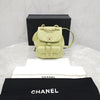 CHANEL Grünes Duma Einsteck-Rucksack 163156917 [P]