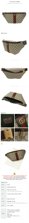 GUCCI Ophidia Large Belt Bag 839104 FAEOF 9745 150397090 [P]