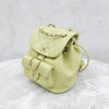 CHANEL Grünes Duma Einsteck-Rucksack 163156917 [P]