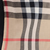 BURBERRY Hooded Jacket 123389 [P]